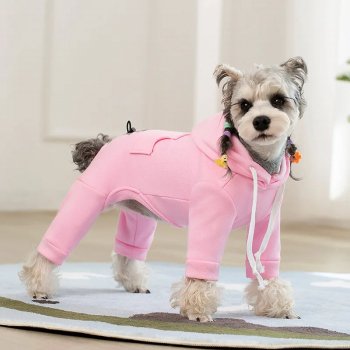 Windproof Warm Dog Hoodie: Small-Dog Fit & Walk Tips